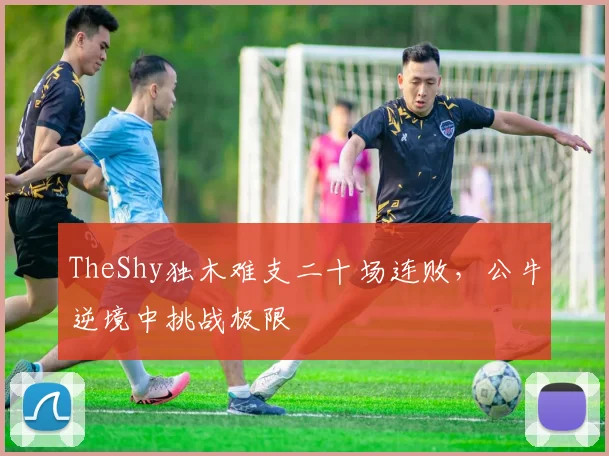 TheShy独木难支二十场连败，公牛逆境中挑战极